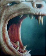 HeadtTests, julian johnson-mortimer