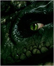 HeadtTests, julian johnson-mortimer