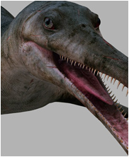 Dolichorhynchops, mega beasts