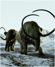 mammouth, iceage