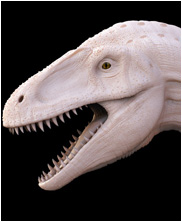 Acrocanthosaurus, Mega Beasts