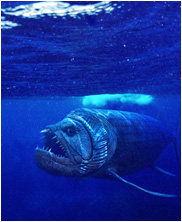 Xiphactinus, mega beasts