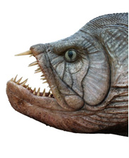 Xiphactinus, mega beasts