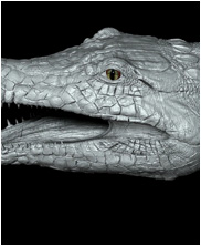 sarcosuchus, sarcosuchus imperator, Mega Beasts