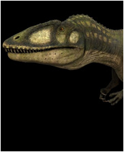 Carcharodontosaurus, mega beasts