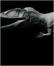 Carcharodontosaurus, mega beasts