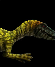 unnamed creature dungeon and dragons