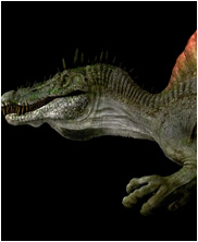 spinosaurus, spinosaurus aegyptiacus, Mega Beasts