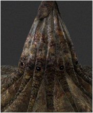 Dungeons and dragons harpy, harpies, ice dragon, kobold