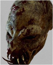 Dungeons and dragons harpy, harpies, ice dragon, kobold