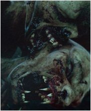 Dungeons and dragons harpy, harpies, ice dragon, kobold