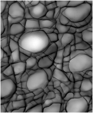 Zbrush Alpha, Crocodile alpha