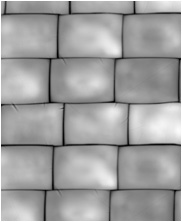 Zbrush Alpha, Crocodile alpha