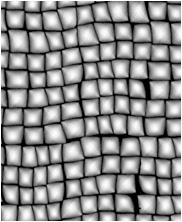 Zbrush Alpha, Crocodile alpha