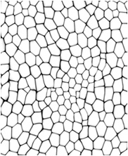 Zbrush Alpha, Dinosaur alpha