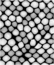 Zbrush Alpha, Dinosaur alpha