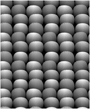 Zbrush Alpha, Dinosaur alpha