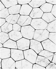 Zbrush Alpha, Dinosaur alpha