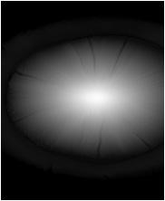 Zbrush Alpha, Dinosaur alpha