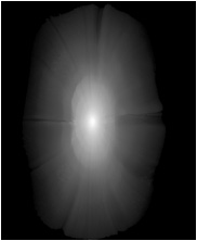 Zbrush Alpha, Dinosaur alpha