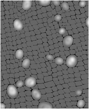 Zbrush Alpha, Dinosaur alpha