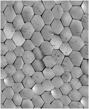 Zbrush Alpha, Dinosaur alpha