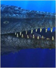 tylosuarus, tylosaur, seamonsters