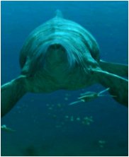 Tylosaur, Styxosaurus Snowii, sea monsters