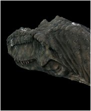 Tylosaur, Styxosaurus Snowii, sea monsters