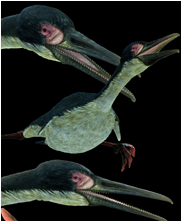 hesperonis, sea monsters